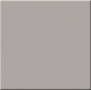 Керамогранит Rainbow Light Grey 300x300 неполированный RW03