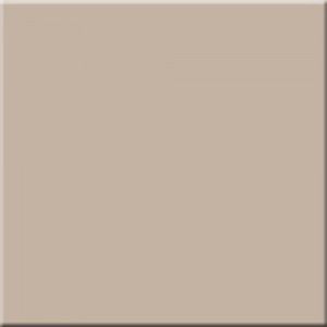 Керамогранит Rainbow Light Brown 600x600 неполированный ректификат RW041