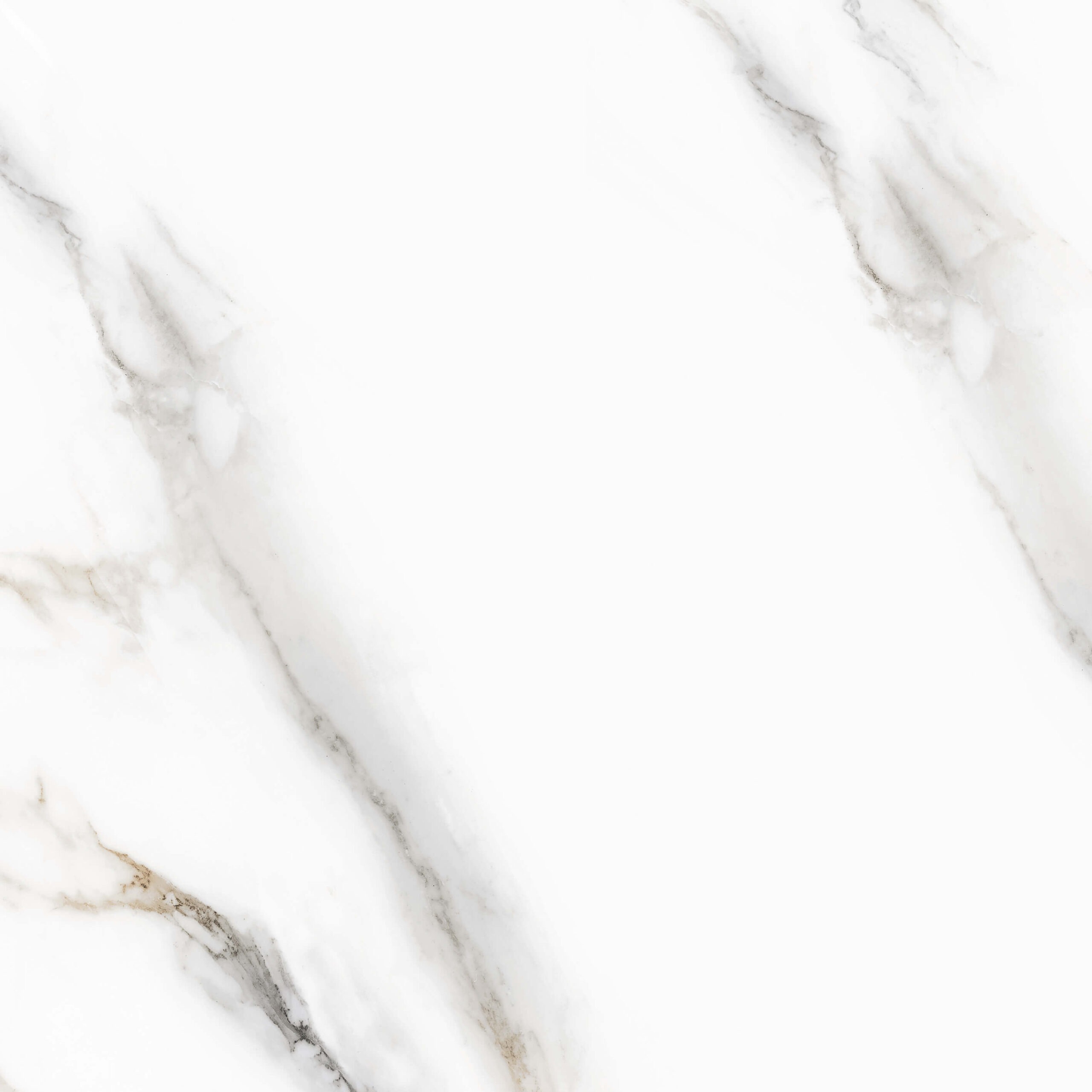 Керамогранит Pelatin Polished 600x600 полированный белый 166509 фото