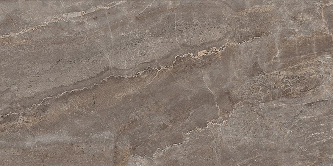 Керамогранит Парнас 400x800 лаппатированный пепельный SG809502R фото
