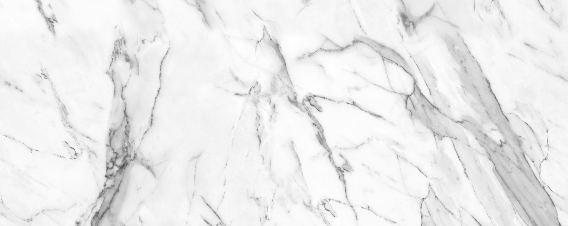 Интерьерная панель 1200x2000 Calacatta Shaded White глянцевая NT-4.3.3/1200x2000G фото