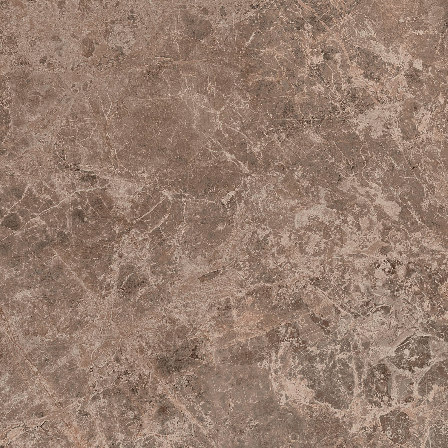 Керамогранит Victory Taupe Ret 800x800 коричневый