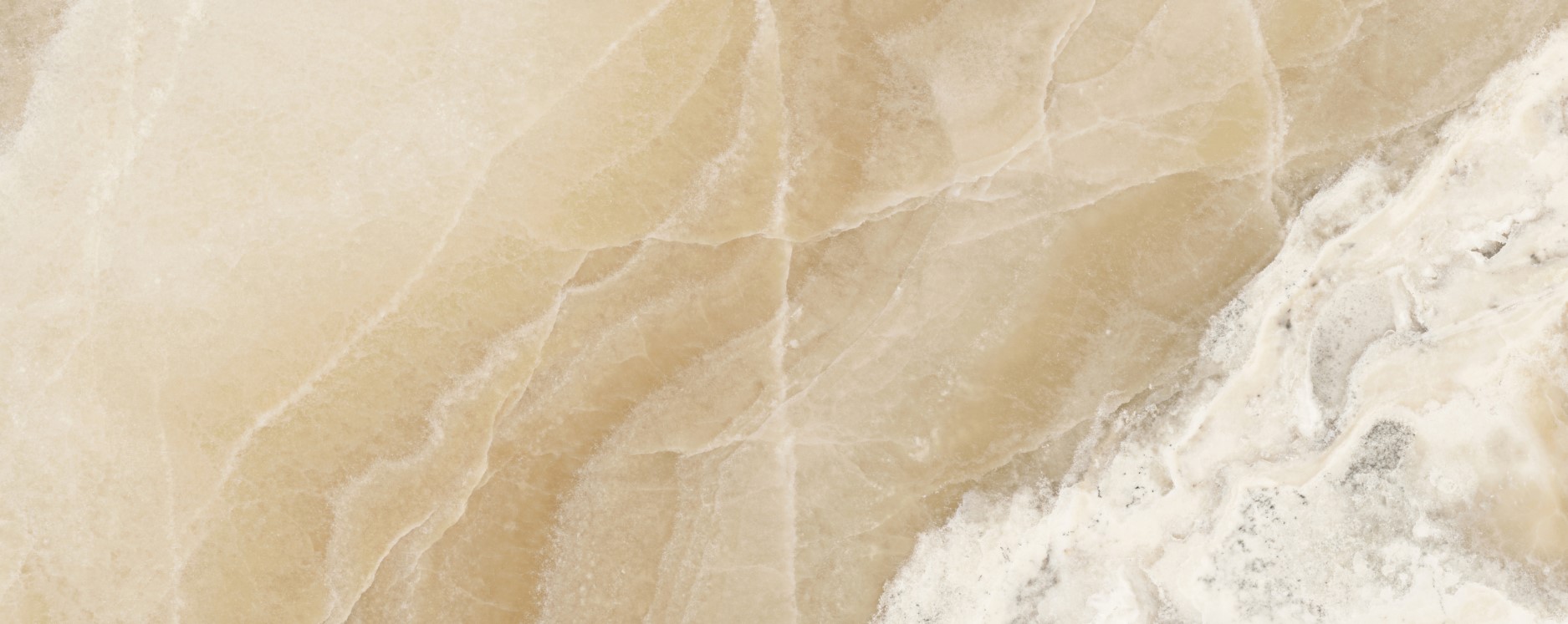 Интерьерная панель 1200x2000 Onyx Baked Milk глянцевая NT-2.1.4/1200x2000G фото
