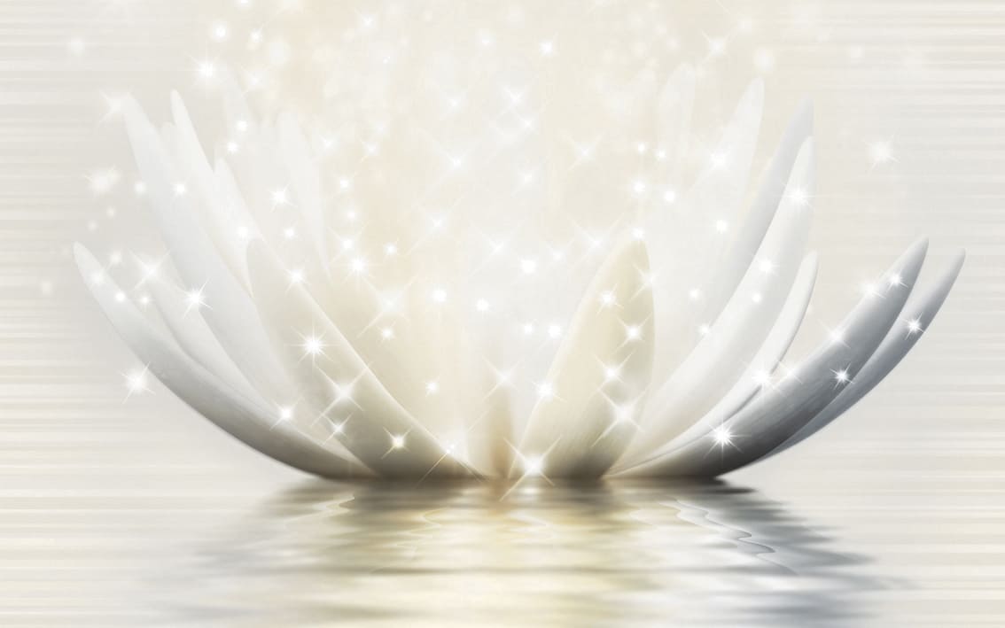 Декор настенный Magic Lotus №3 250x400 кремовый 19Г331 фото