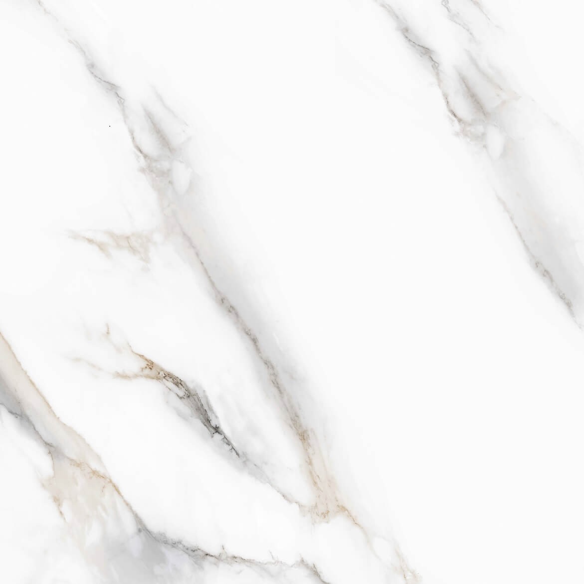 Керамогранит Pelatin Polished 800x800 полированный белый 186509 фото