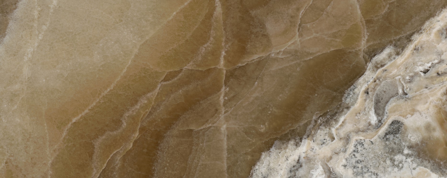 Интерьерная панель 1200x3000 Onyx Walnut матовая NT-2.2.4/1200x3000M фото