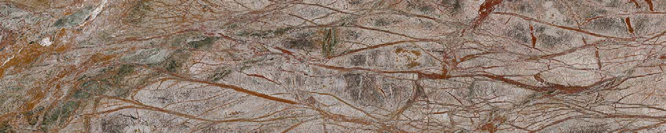 Панель для кухни 600x3000 Forest Natural фон глянцевая фото