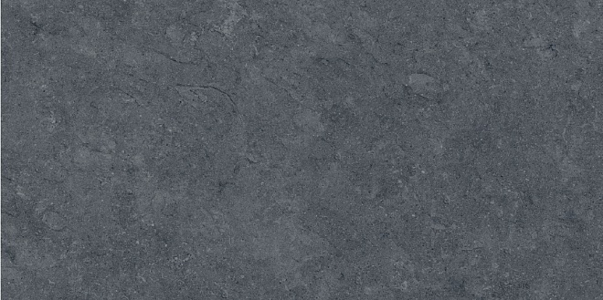 Керамогранит Роверелла 600x1195 серый темный DL501300R фото