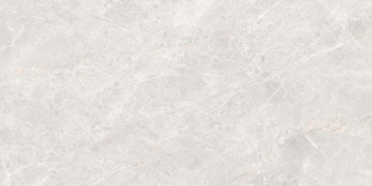 Керамогранит Anatolia 600x1200 светло-серый GT1206019606MDGR фото