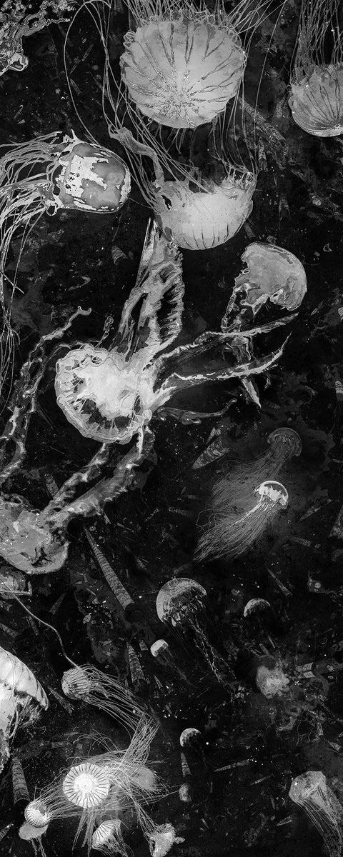 Интерьерная панель 1200x3000 Kwal Fossil глянцевая A-9.4.2/1200x3000G фото