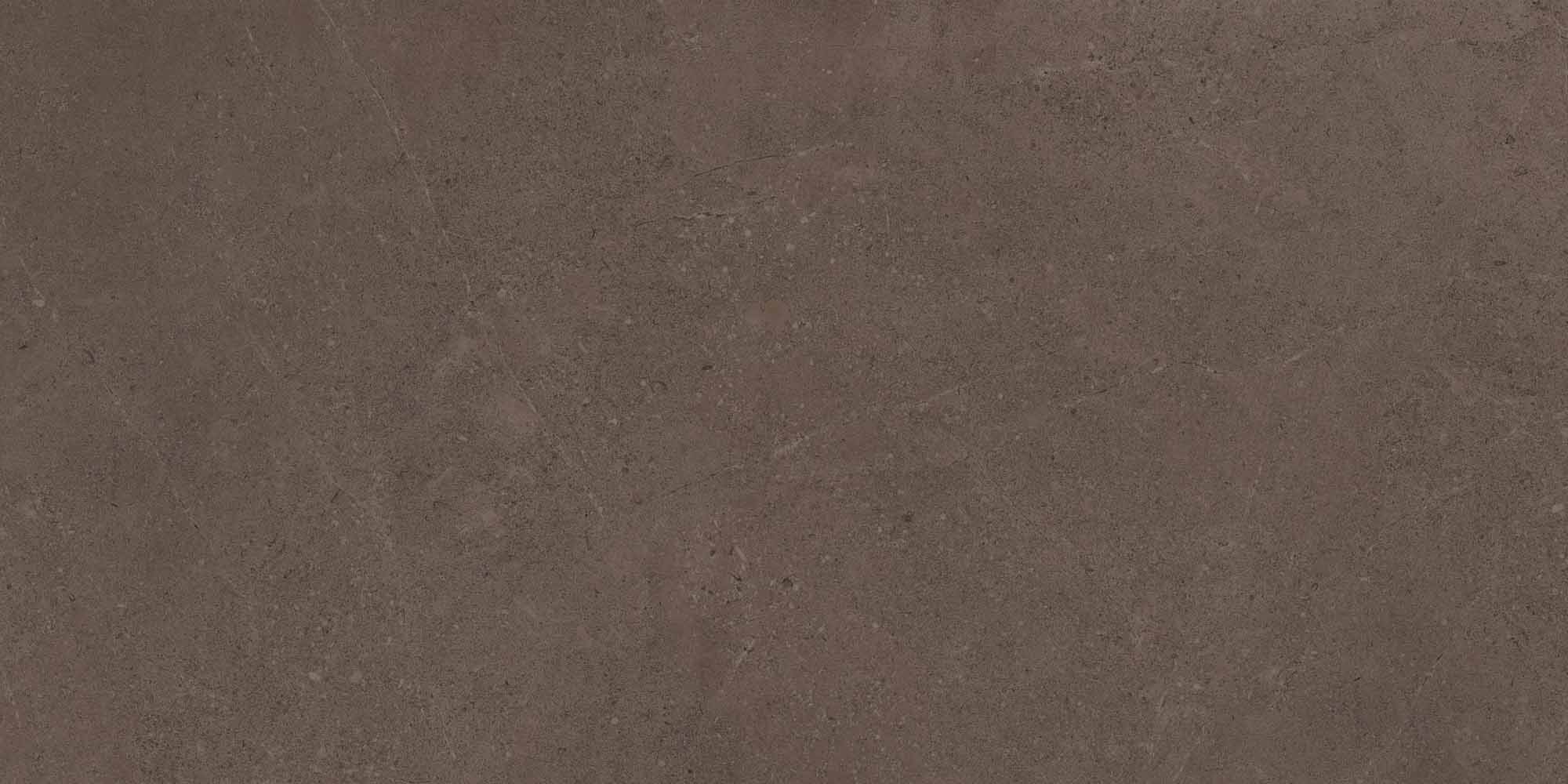 Керамогранит Gobi Brown Grey 600x1200 неполированный ректификат GO03