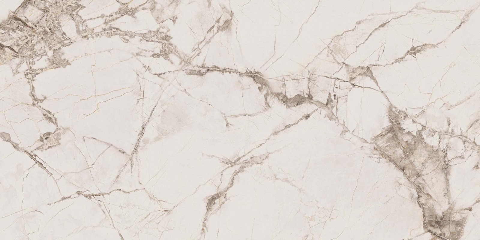 Керамогранит Exotica Marble Moon Tango 600x1200 неполированный белый EXM101 фото