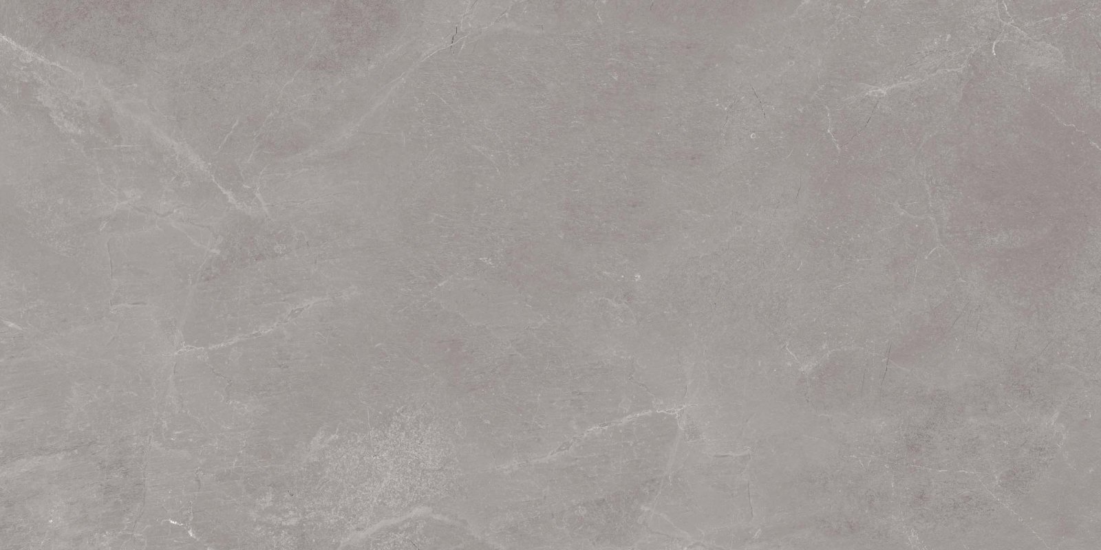 Керамогранит Exotica Stone Vento Freddo 600x1200 неполированный серый EXS201 фото