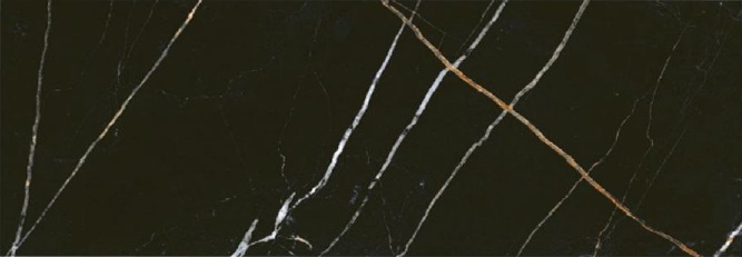 Плитка настенная Black & Gold 242x700 черная Плитка настенная Black & Gold 242x700 черная фото