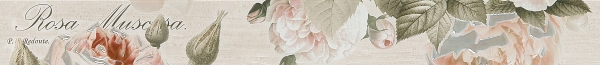 Бордюр Garden Rose beige border 01 65x600 бежевый 010212001811