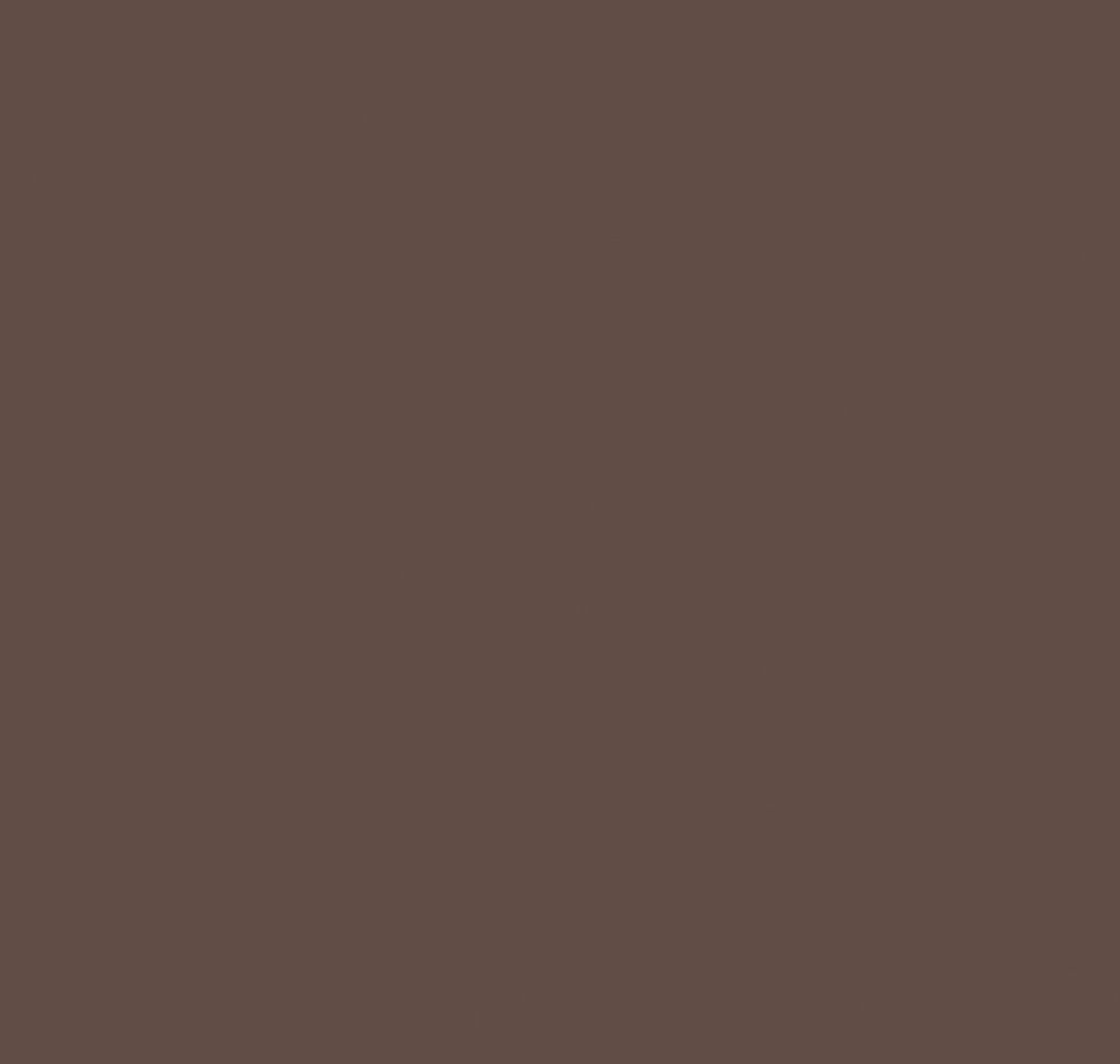Керамогранит Rainbow Brown 600x600 неполированный ректификат RW04 фото