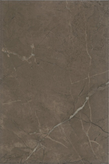 Плитка настенная Эль-Реаль 200x300 коричневая 8316 фото