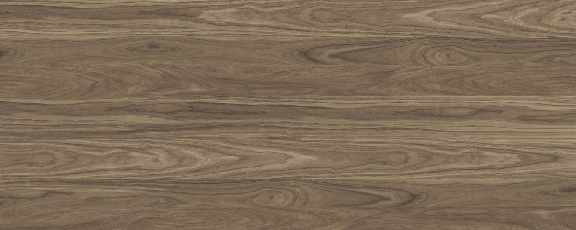 Интерьерная панель 1200x3000 American Walnut Cappuccino глянцевая NT-17.1.2/1200x3000G