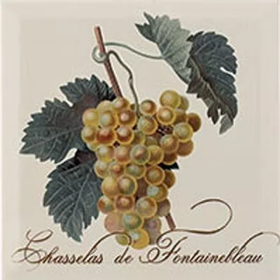 Декор настенный Dec. Provence Chasselas De Fontainbleau 200x200 бежевый